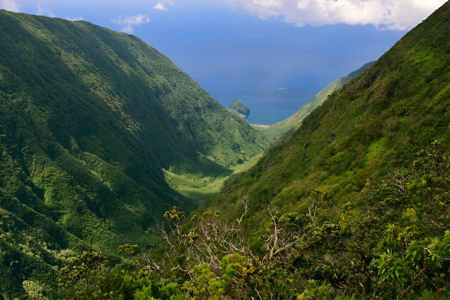 Secrets-Of-Hawaii8217s-Molokai-Forest-Valleys secrets-of-hawaiis-molokai-forest-valleys