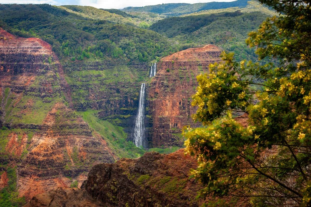 Secrets-Of-Hawaii8217s-Waipio-Falls-Paths secrets-of-hawaiis-waipio-falls-paths