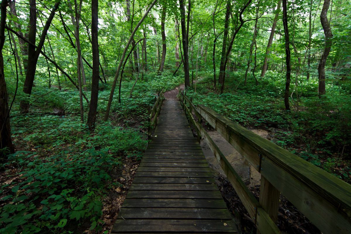 secrets-of-illinois-black-hawk-state