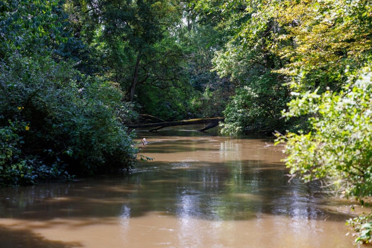 Secrets-Of-Indiana8217s-Salt-Creek secrets-of-indianas-salt-creek