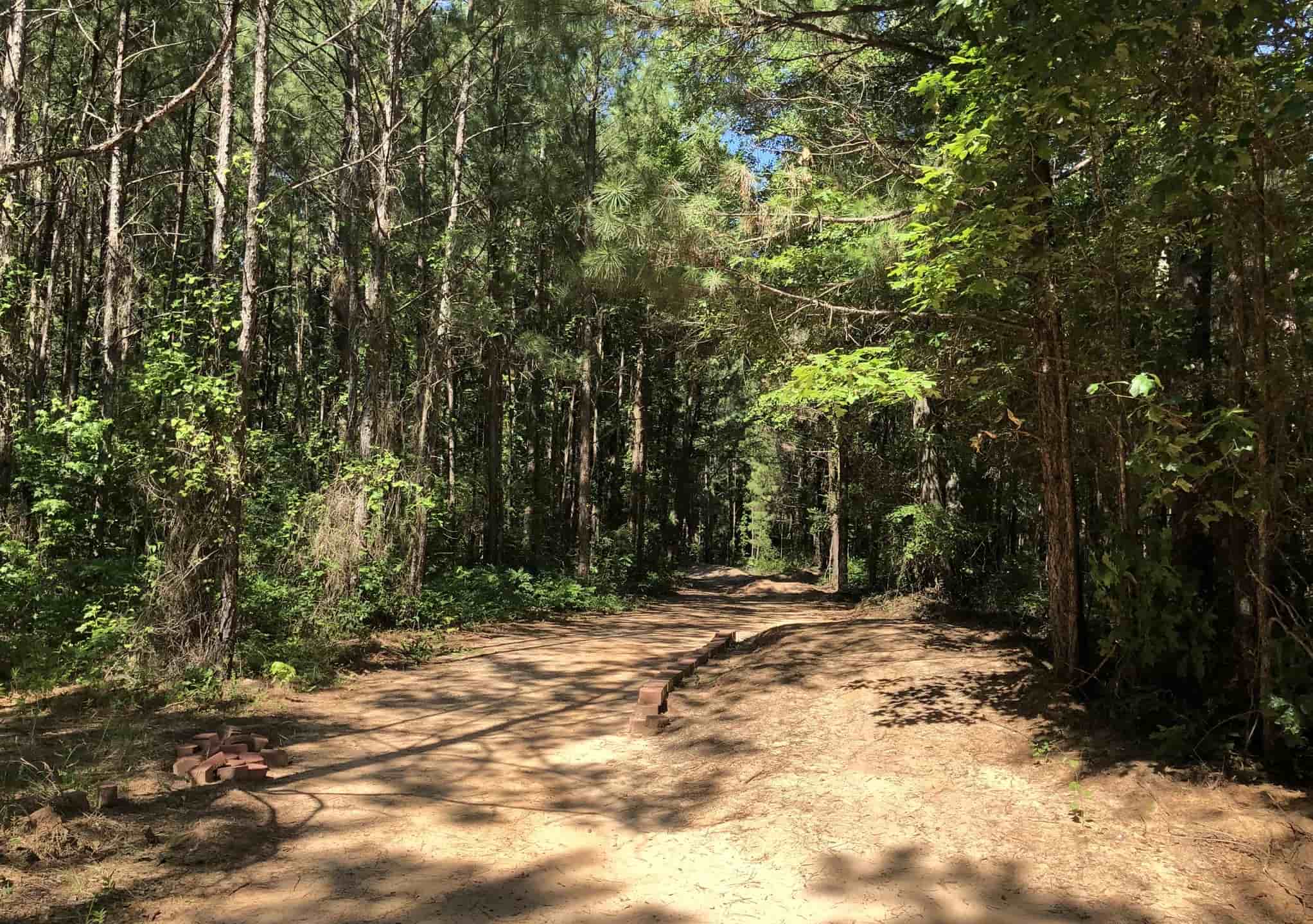 secrets-of-louisianas-driskill-trails