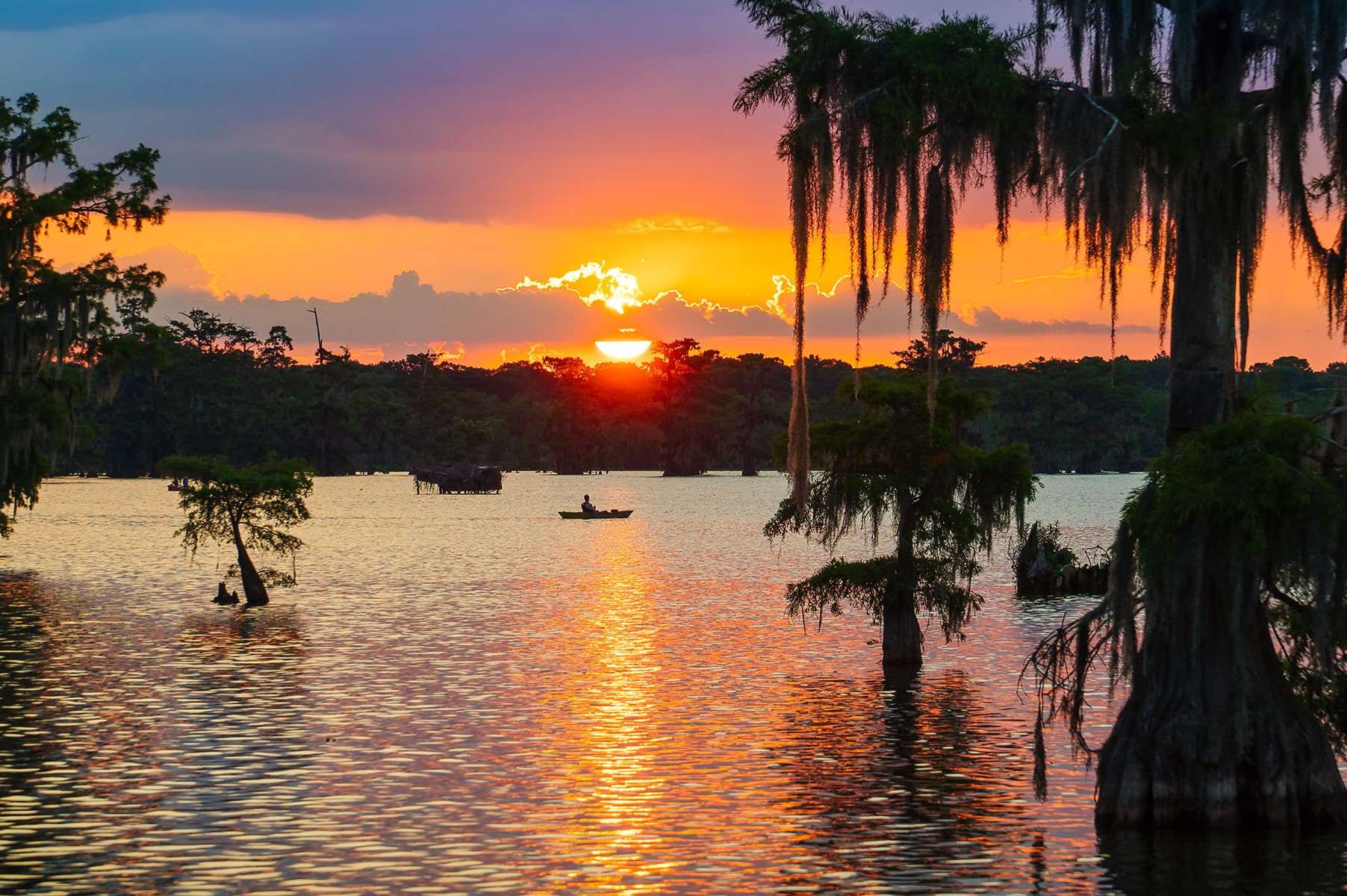 secrets-of-louisianas-lake-martin-paths