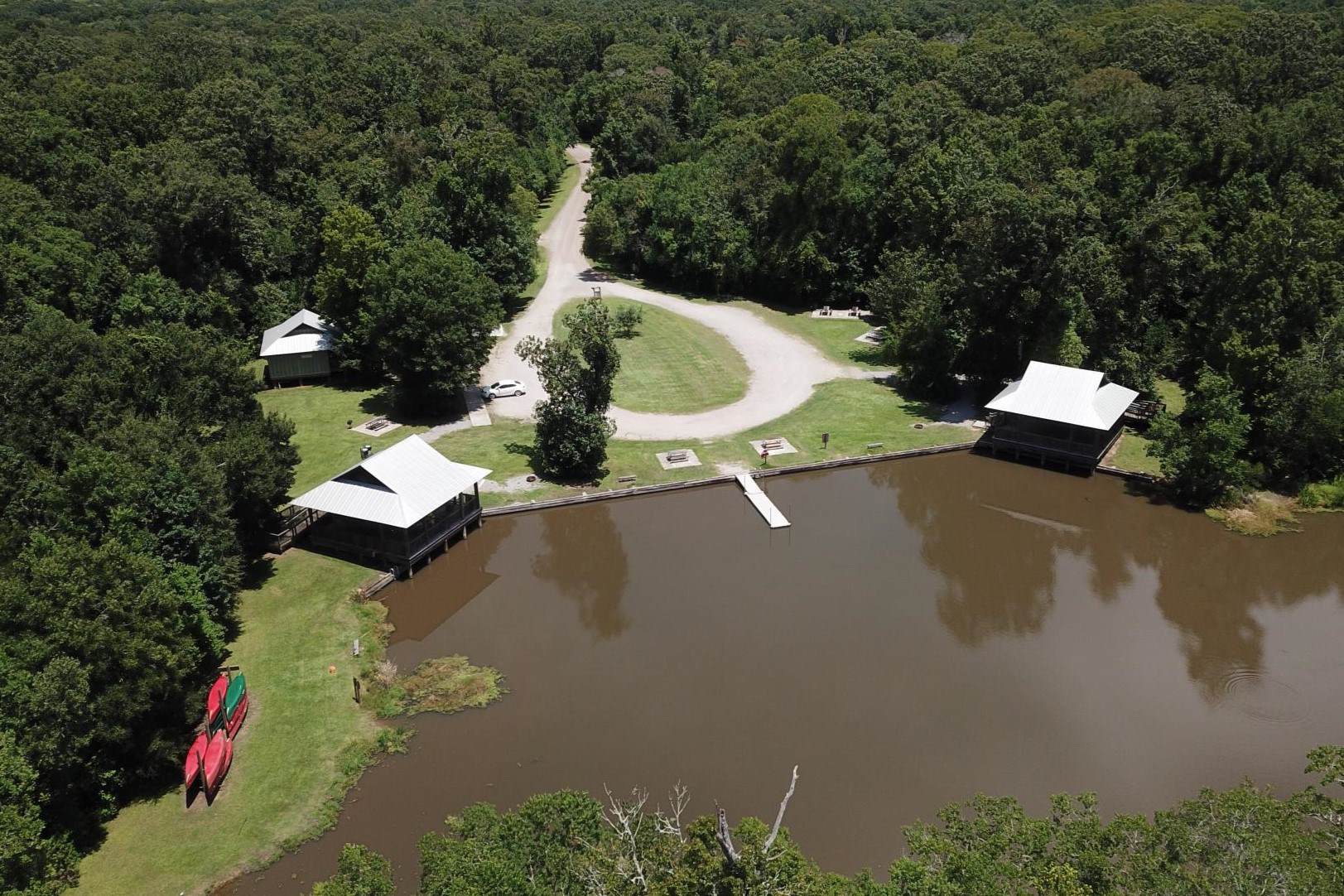 Secrets-Of-Louisianas-Palmetto-Island-Trails secrets-of-louisianas-palmetto-island-trails
