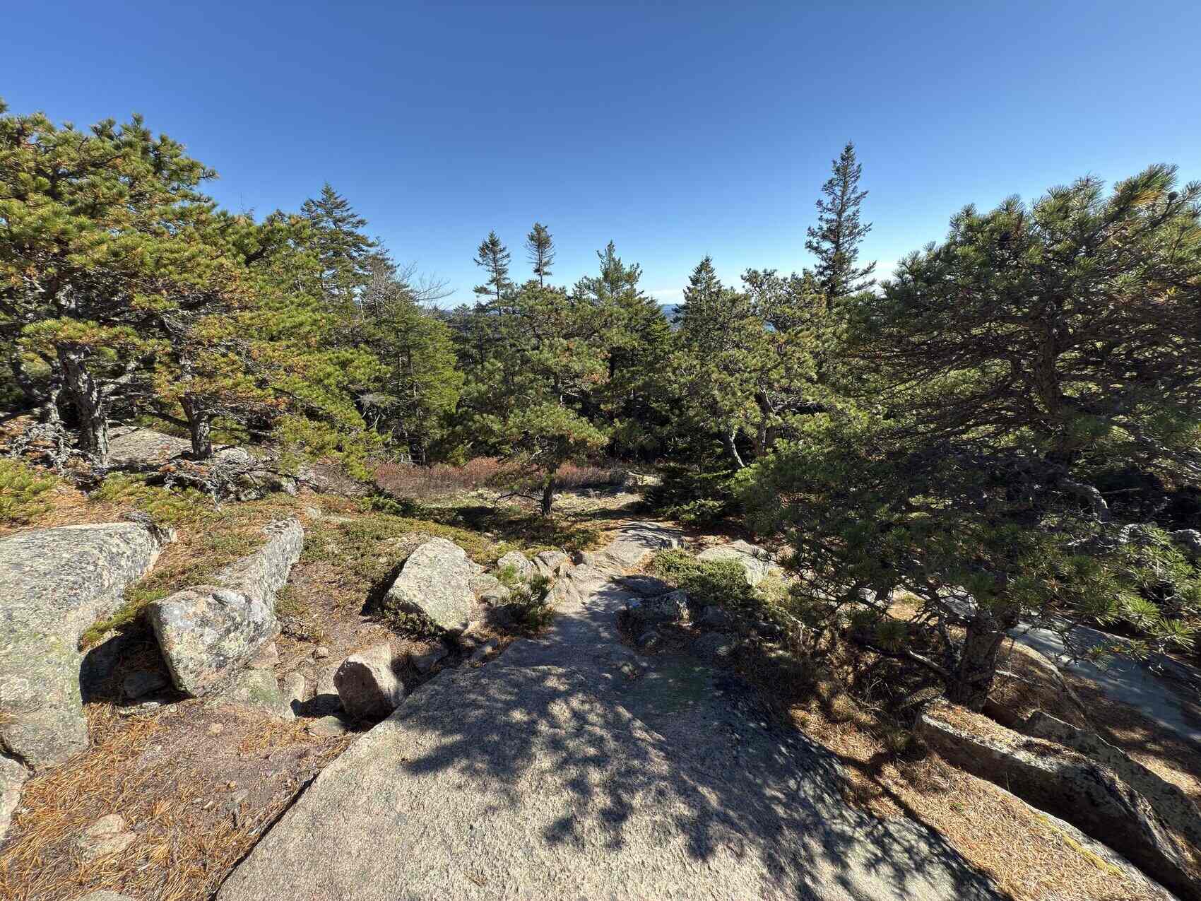 secrets-of-maines-norumbega-trails