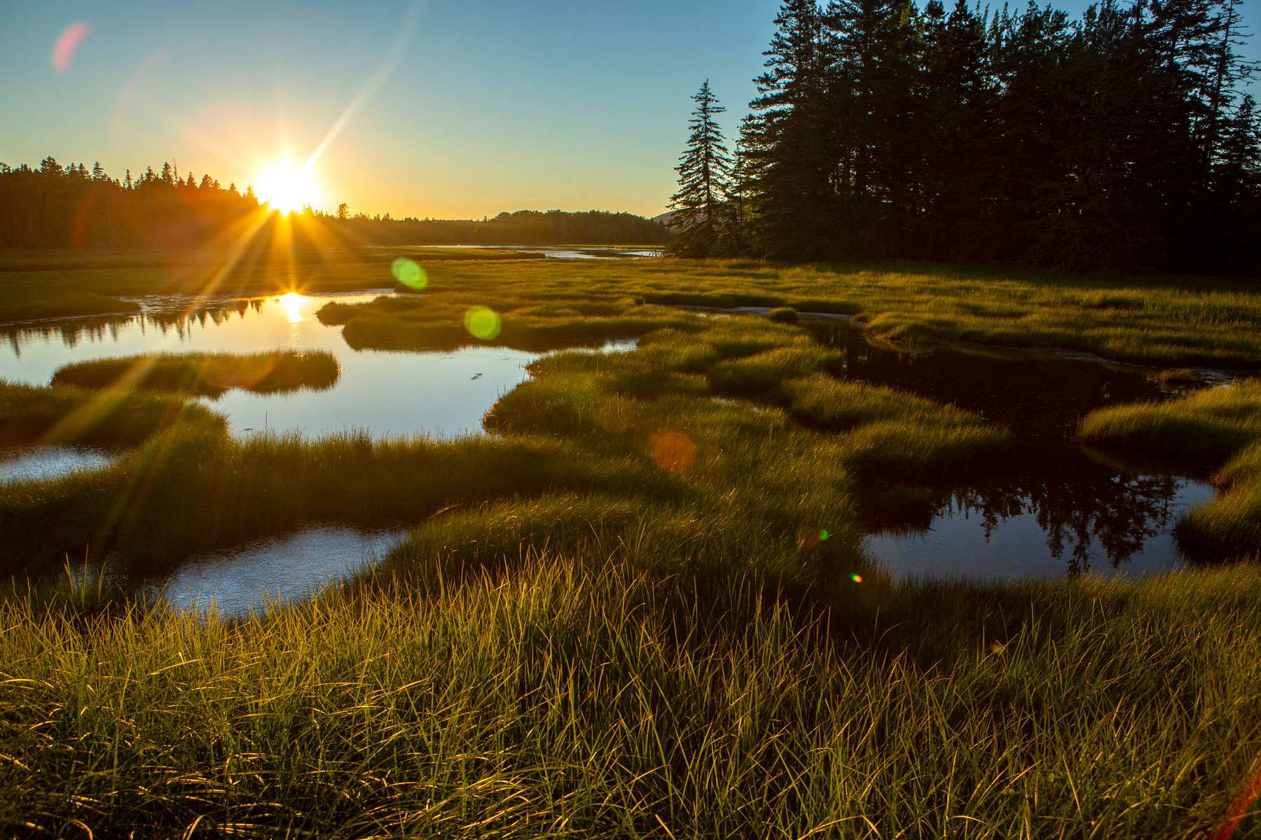 secrets-of-maines-pretty-marsh