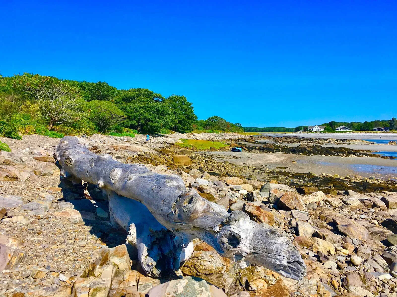 secrets-of-maines-timber-point