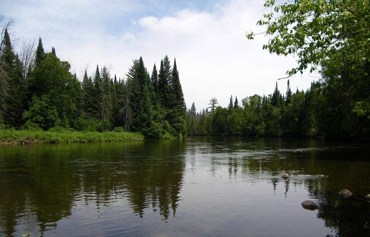 Secrets-Of-Michigan8217s-Au-Sable secrets-of-michigans-au-sable