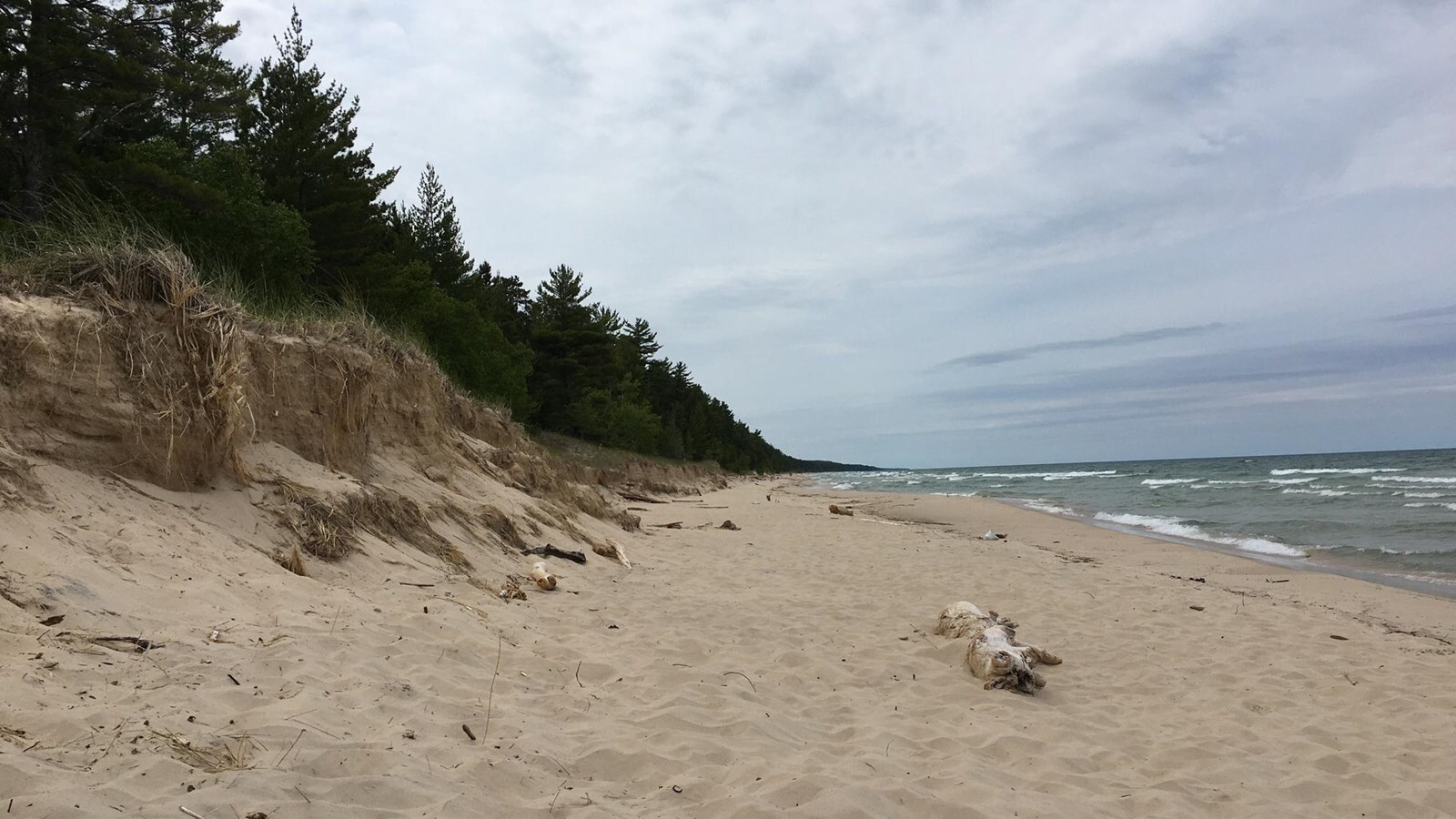 secrets-of-michigans-beaver-basin