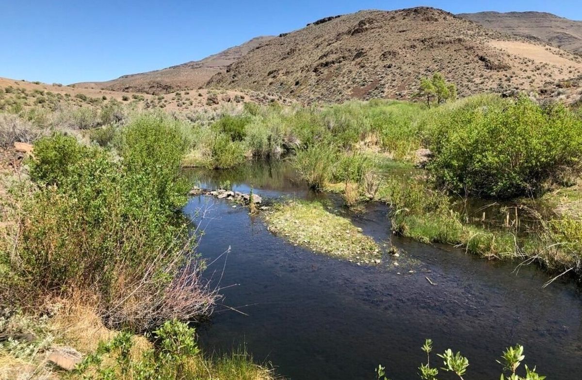 Secrets-Of-Nevada8217s-Desert-Creek secrets-of-nevadas-desert-creek