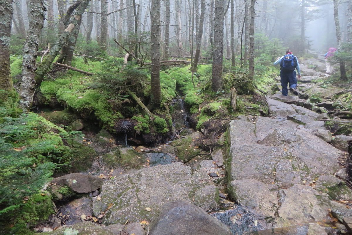 Secrets-Of-New-Hampshire8217s-Crawford-Path secrets-of-new-hampshires-crawford-path