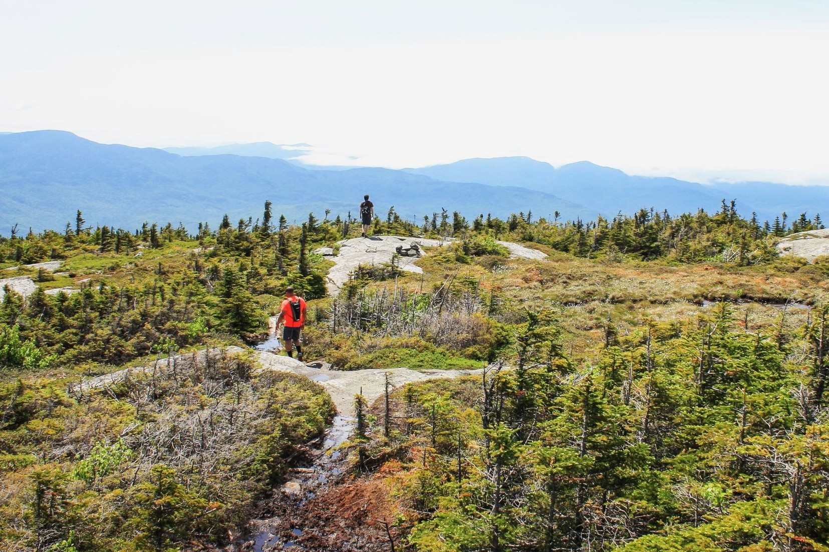 secrets-of-new-hampshires-mount-success