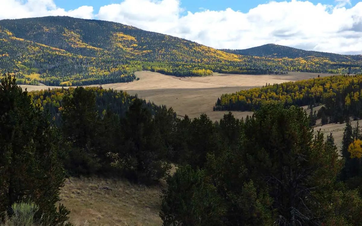 secrets-of-new-mexicos-valle-vidal