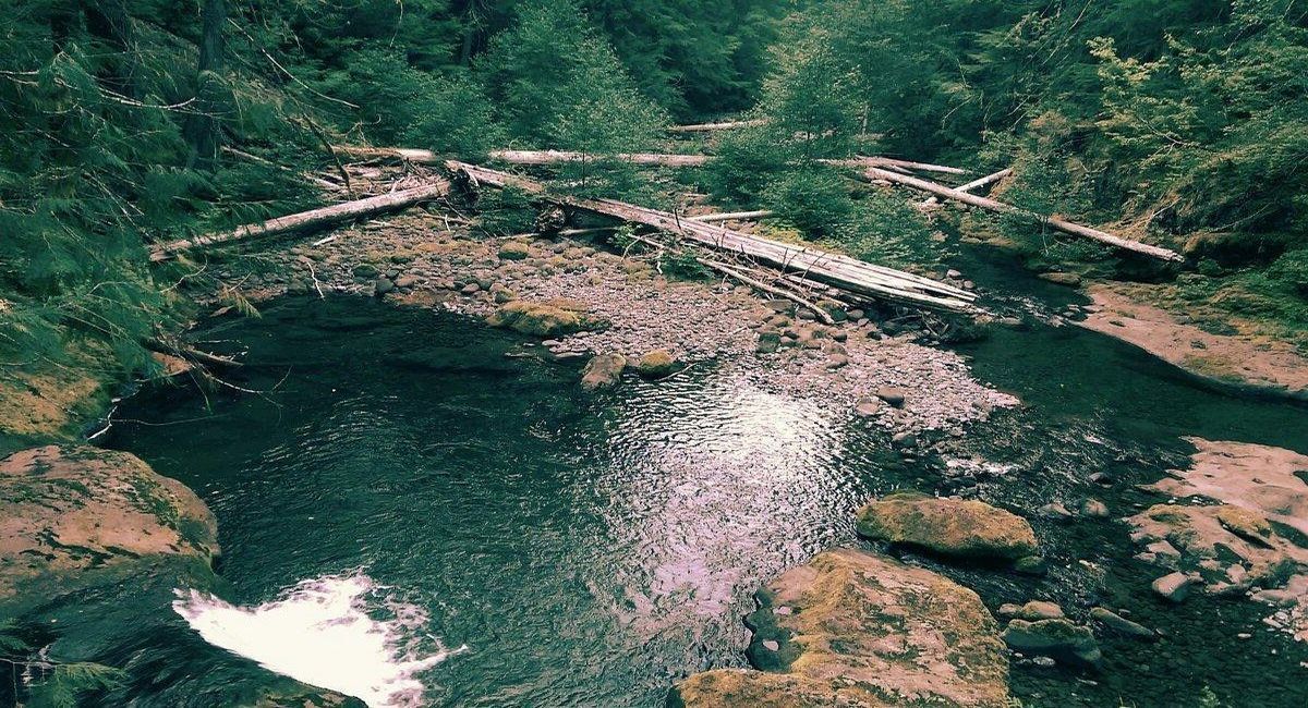 secrets-of-oregons-bagby-hot-springs