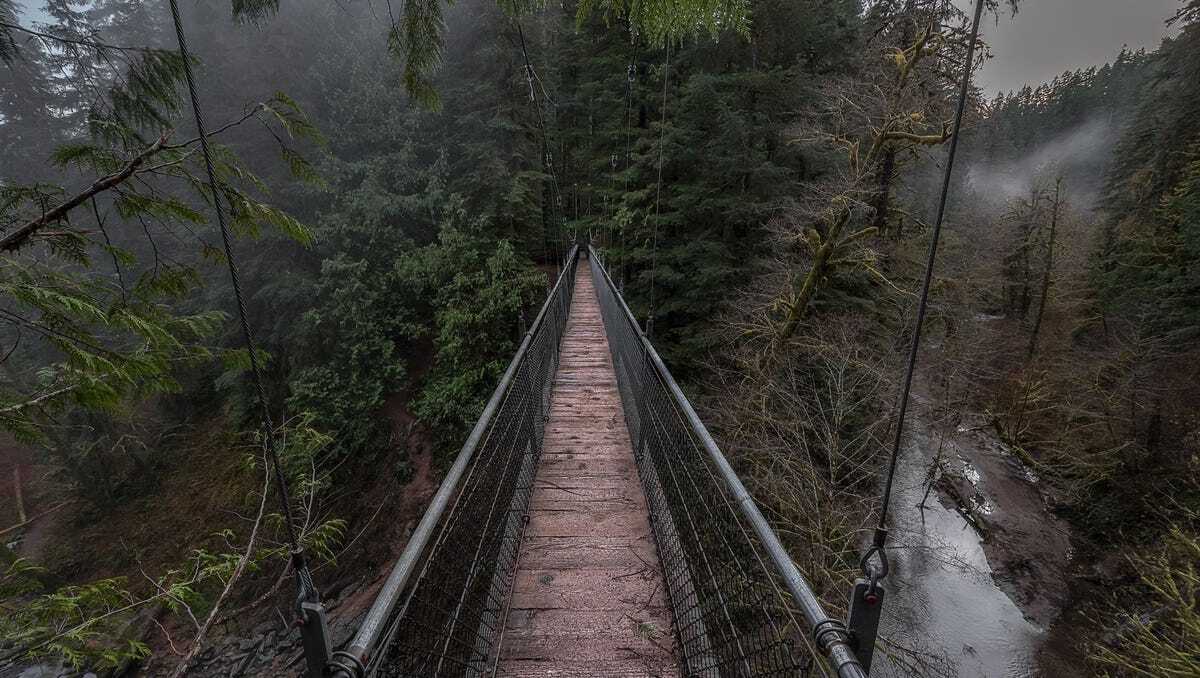 secrets-of-oregons-drift-creek