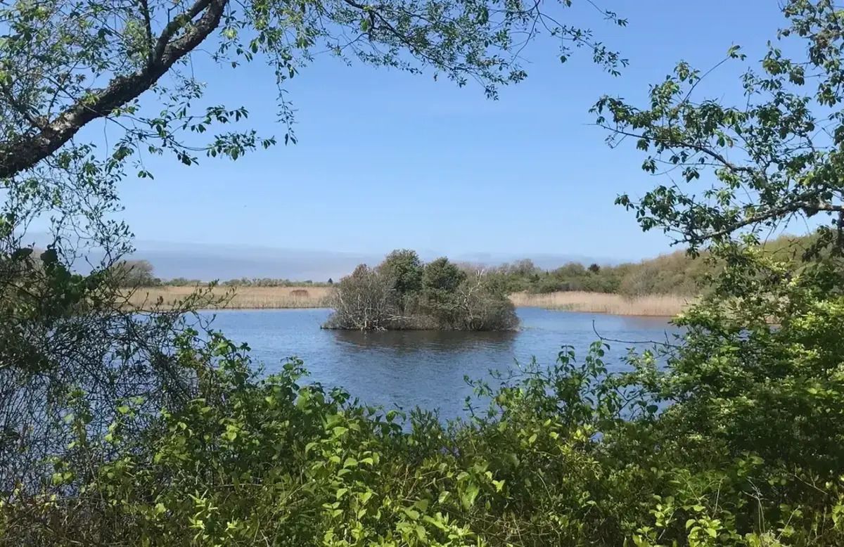 secrets-of-rhode-islands-trustom-pond