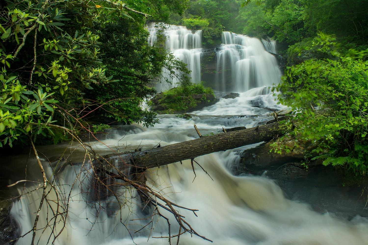 Secrets-Of-South-Carolina8217s-Chattooga-River secrets-of-south-carolinas-chattooga-river