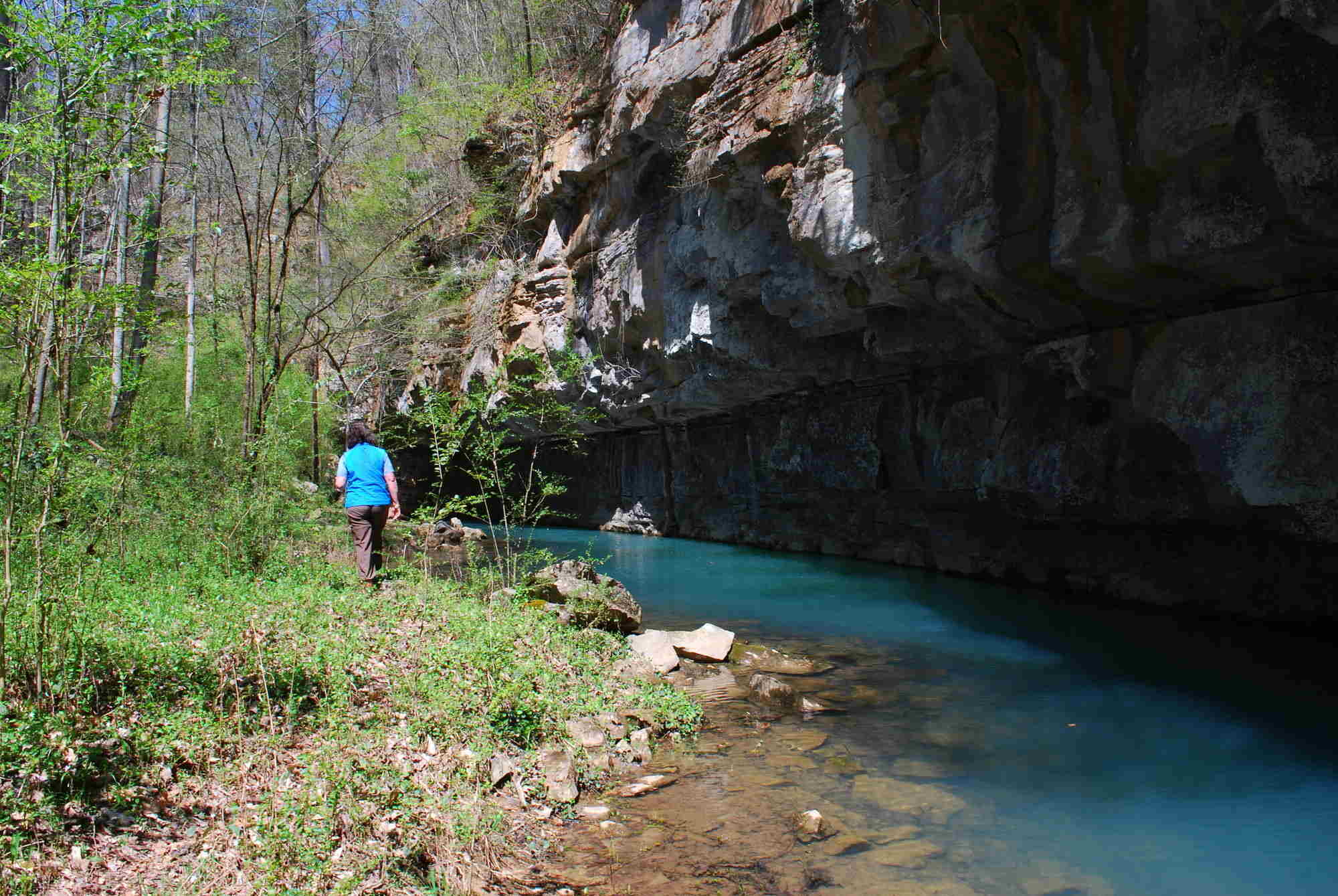 secrets-of-tennessees-blue-spring