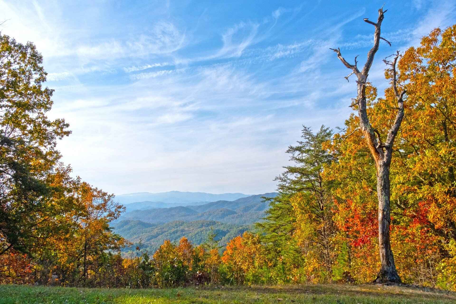 secrets-of-tennessees-hidden-branch