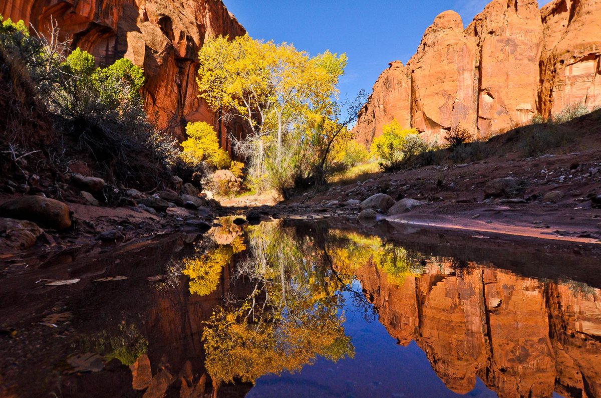 secrets-of-utahs-little-death-springs