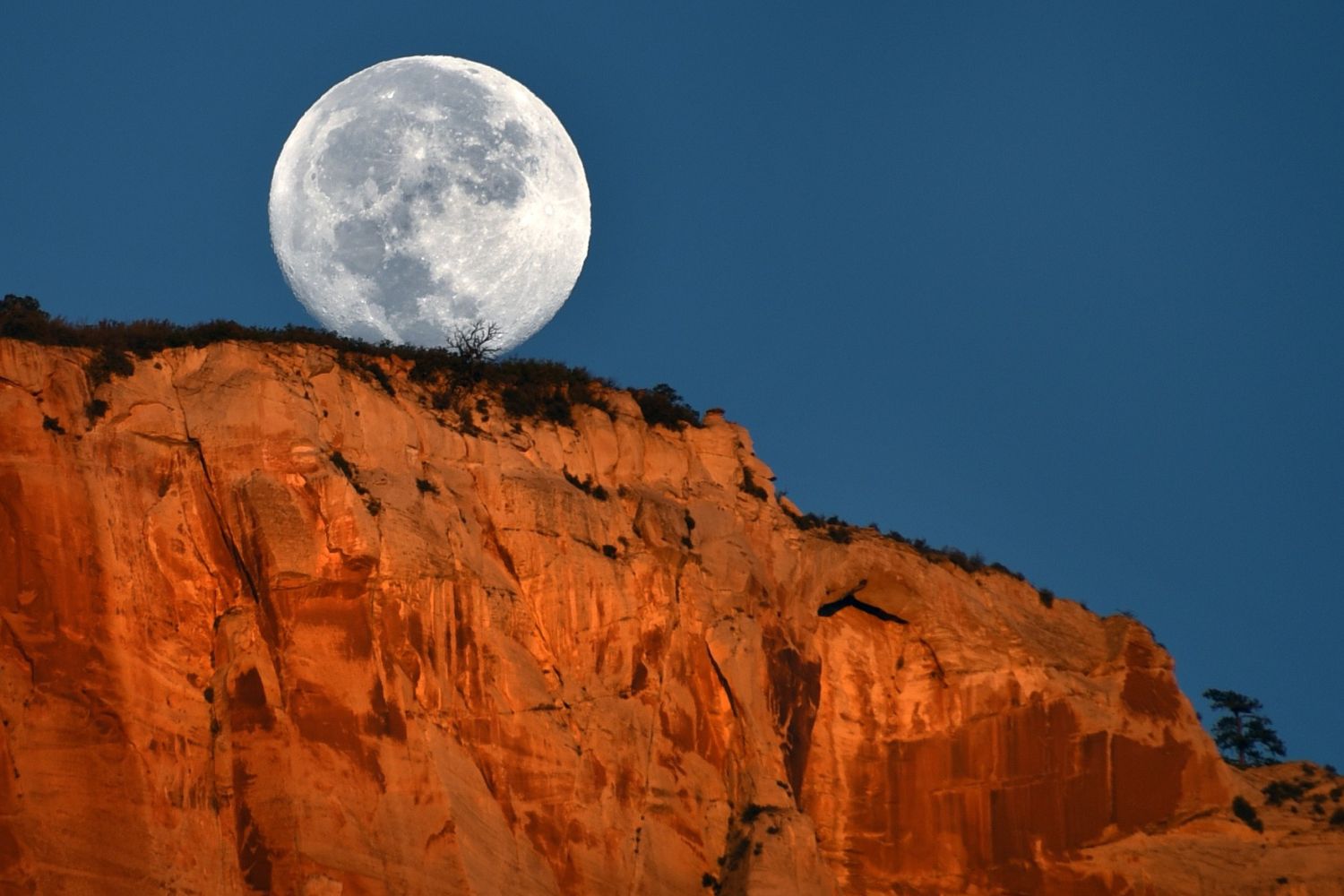 Secrets-Of-Utah8217s-Moonlight-Canyon secrets-of-utahs-moonlight-canyon