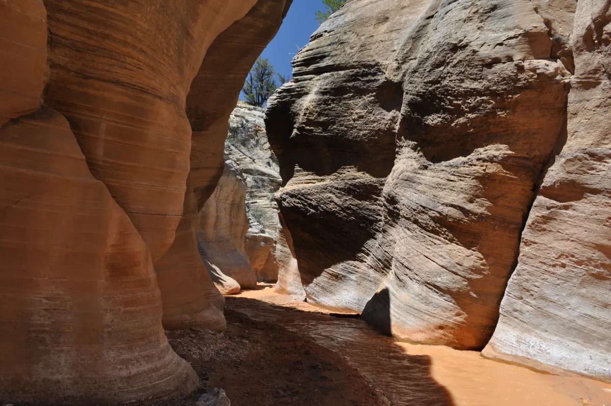 Secrets-Of-Utah8217s-Willis-Creek-Paths secrets-of-utahs-willis-creek-paths