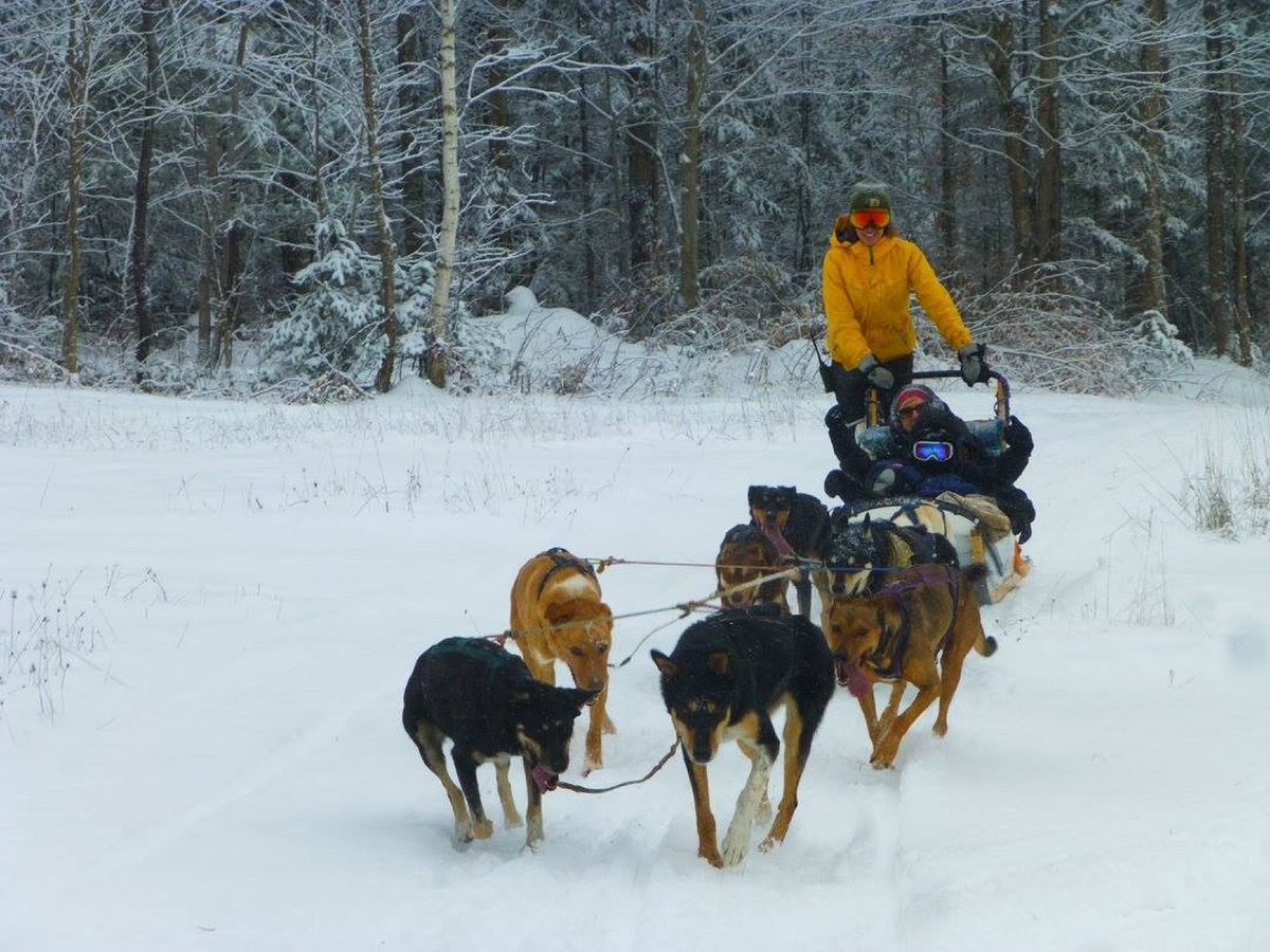 secrets-of-vermonts-dog-head