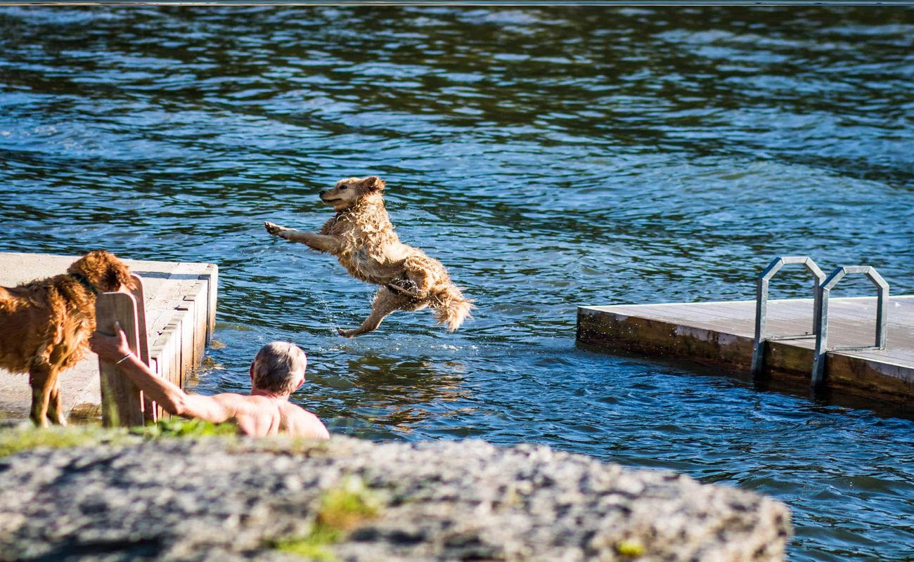 Secrets-Of-Vermont8217s-Dog-River-Valley secrets-of-vermonts-dog-river-valley