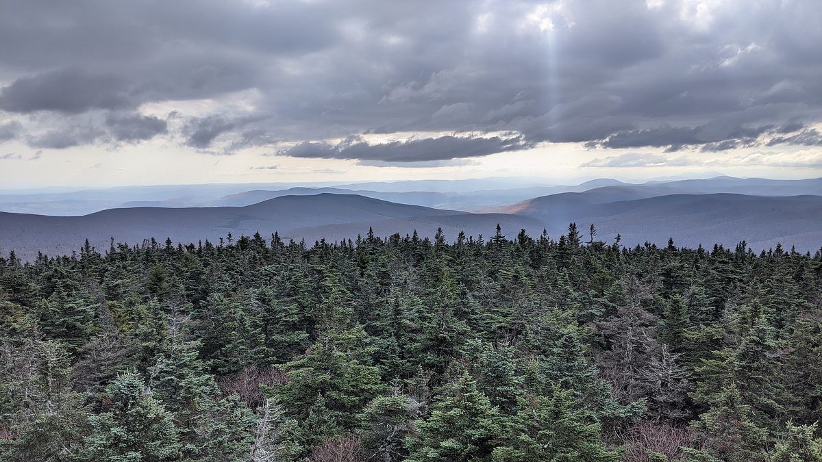 secrets-of-vermonts-glastenbury-forest