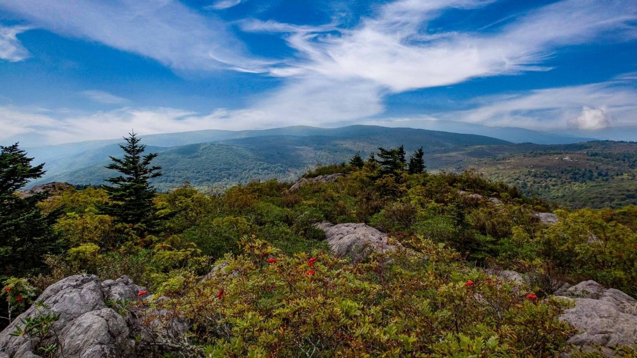 Secrets-Of-Virginias-Mount-Rogers secrets-of-virginias-mount-rogers
