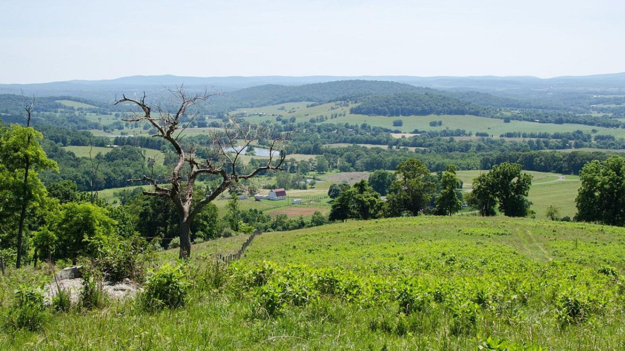 secrets-of-virginias-sky-meadows