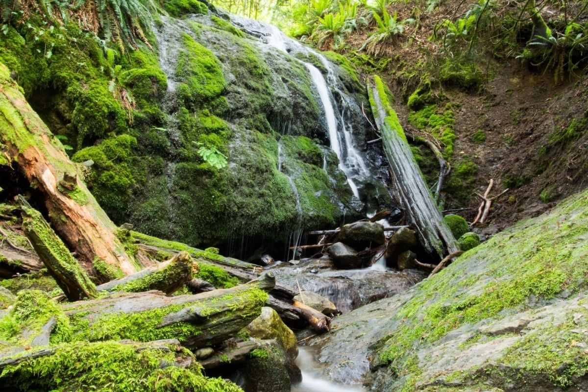 secrets-of-washingtons-coal-creek