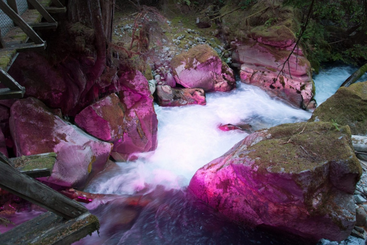 secrets-of-washingtons-ladder-creek