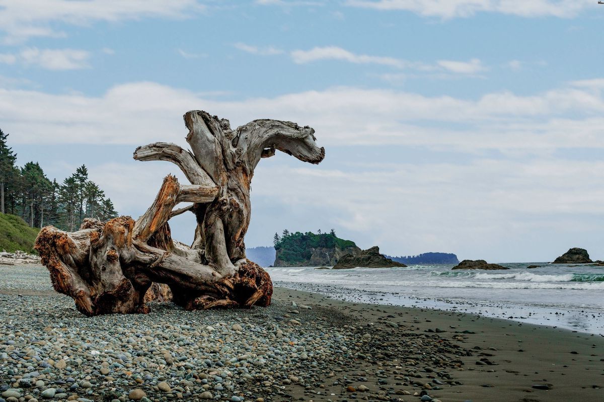 Secrets-Of-Washington8217s-Ruby-Beach-Trails secrets-of-washingtons-ruby-beach-trails
