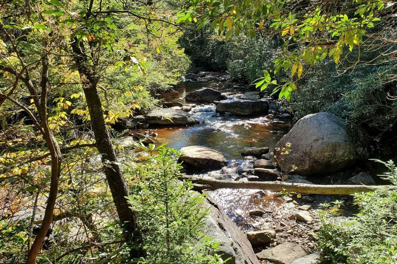 Secrets-Of-West-Virginia8217s-Otter-Creek-Trails secrets-of-west-virginias-otter-creek-trails