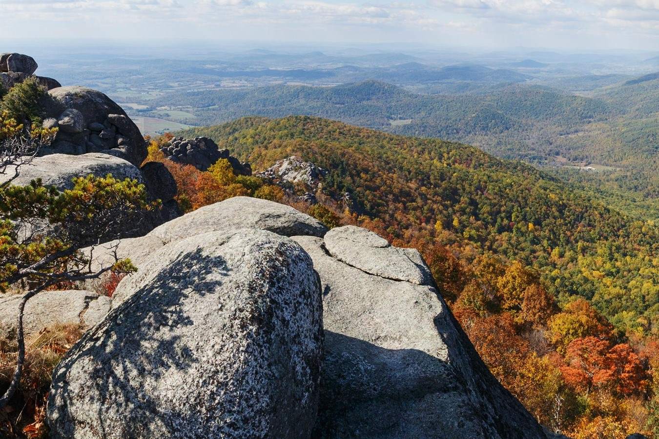 tales-from-virginias-old-rag-forest