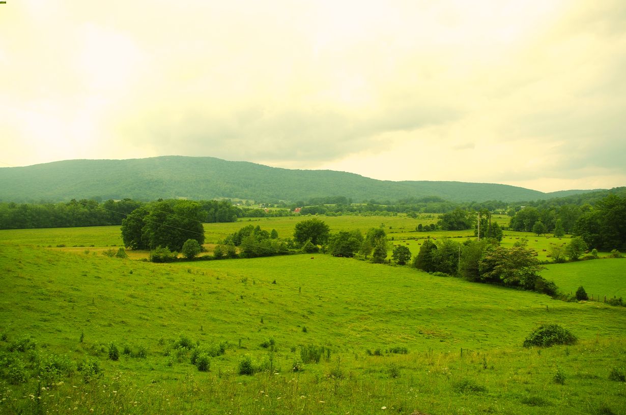 Tennessee8217s-Secret-Caves-In-Grassy-Cove tennessees-secret-caves-in-grassy-cove