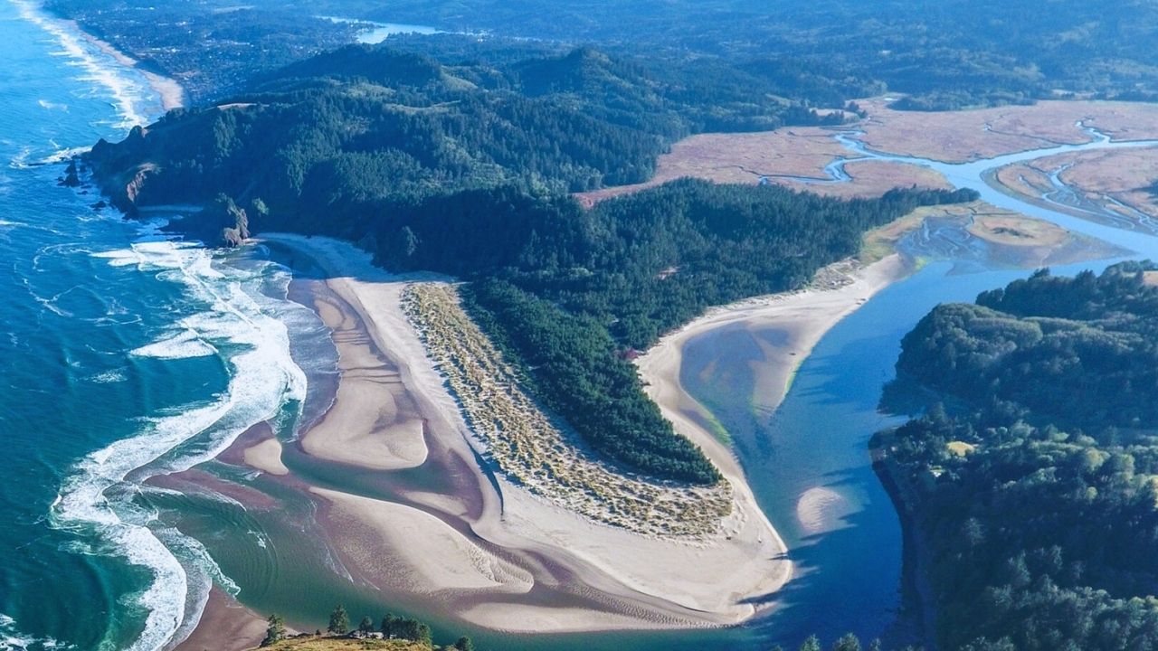 whispers-from-oregons-cascade-head