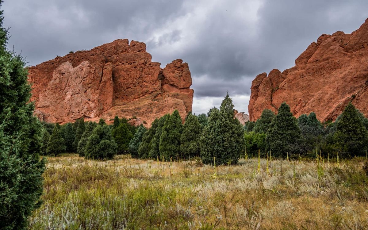 Whispers-Of-Colorado8217s-Garden-Giants whispers-of-colorados-garden-giants