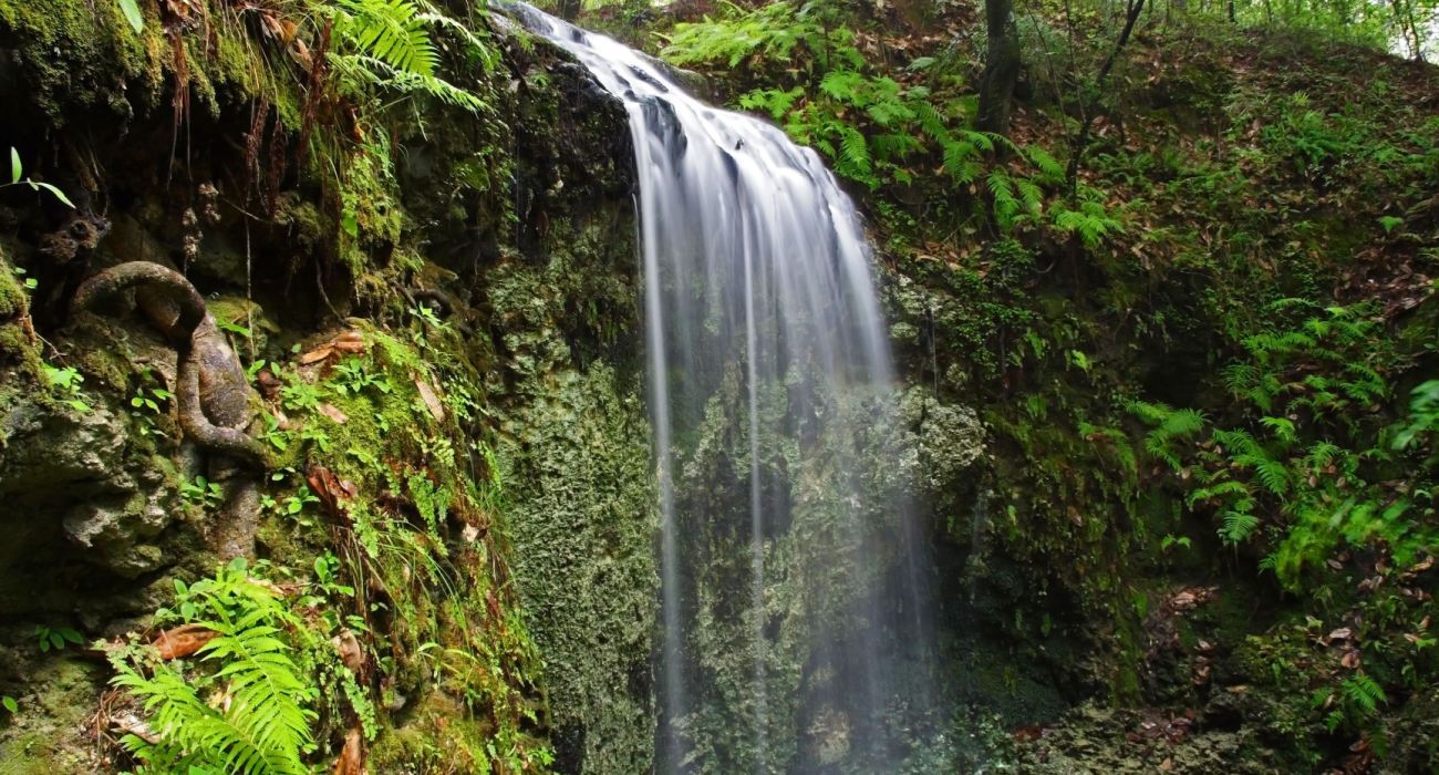 Florida8217s-Falling-Waters-Secrets floridas-falling-waters-secrets