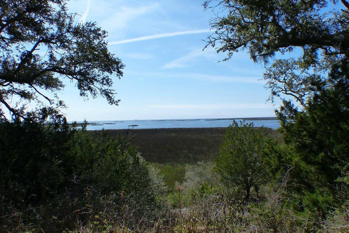 Florida8217s-Shell-Mound-Trading-Mysteries floridas-shell-mound-trading-mysteries