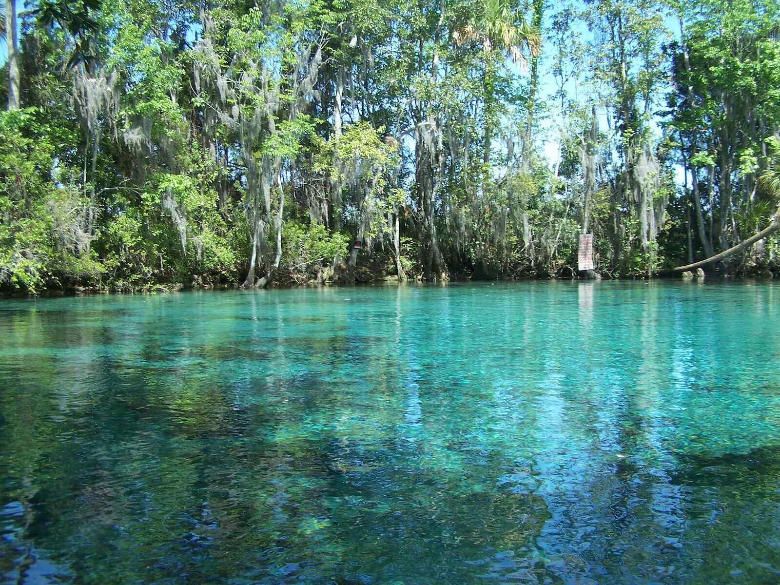 Florida8217s-Three-Sisters-Secrets-Beneath-The-Surface floridas-three-sisters-secrets-beneath-the-surface