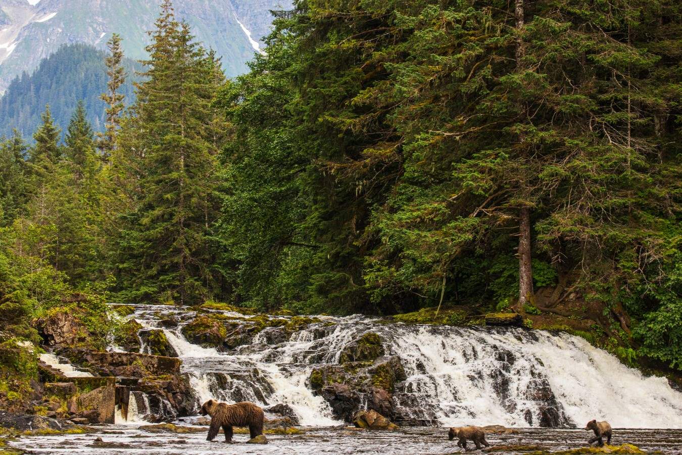 hidden-trading-posts-of-alaskas-fort-tongass