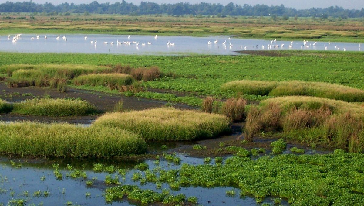 hidden-trading-posts-of-oklahomas-red-slough
