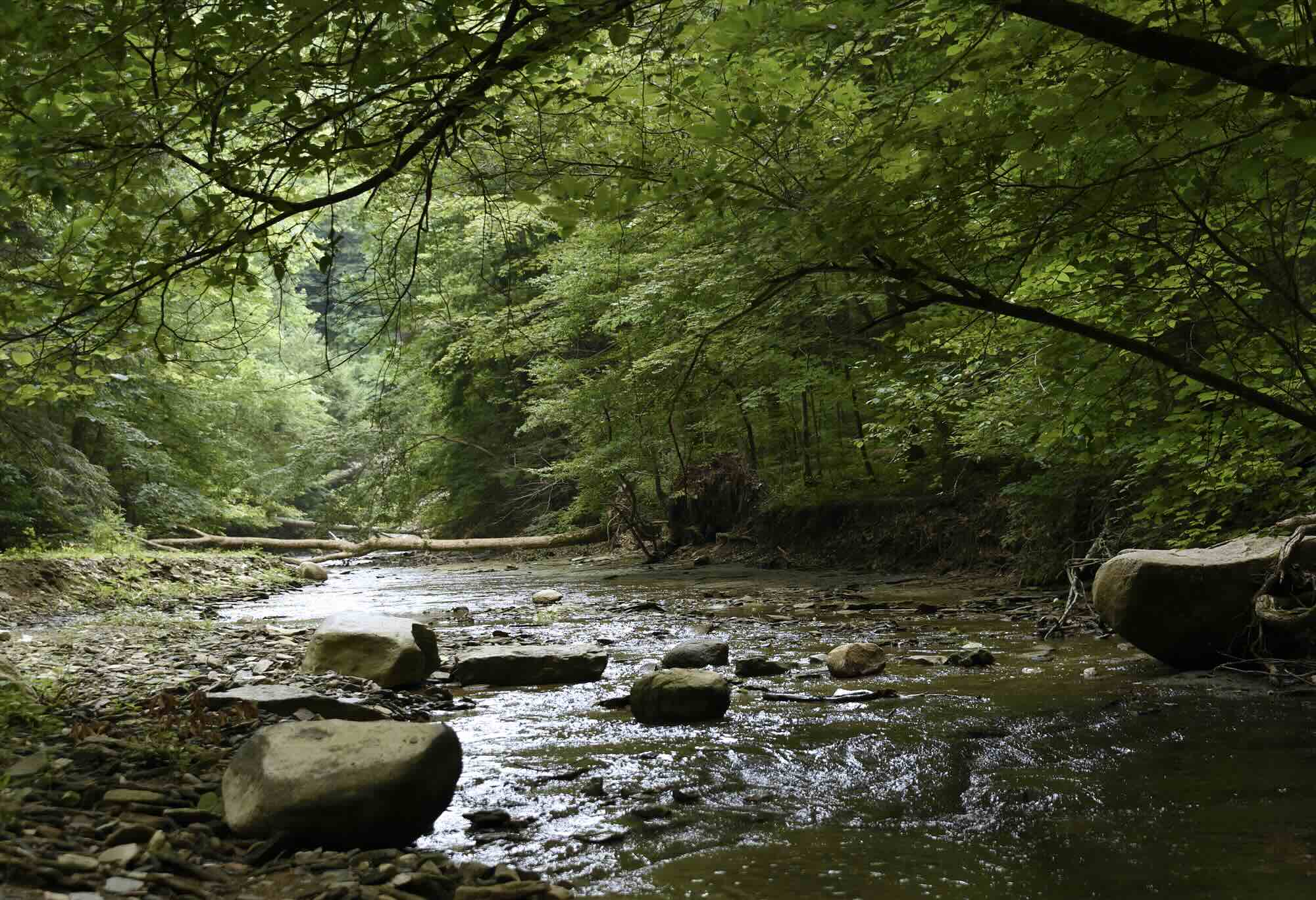 Hidden-Trails-Of-Indiana8217s-Pine-Hills hidden-trails-of-indianas-pine-hills
