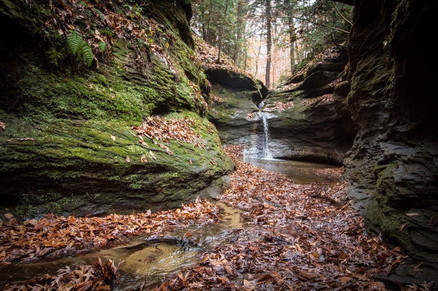 Hidden-Trails-Of-Indiana8217s-Turkey-Run hidden-trails-of-indianas-turkey-run