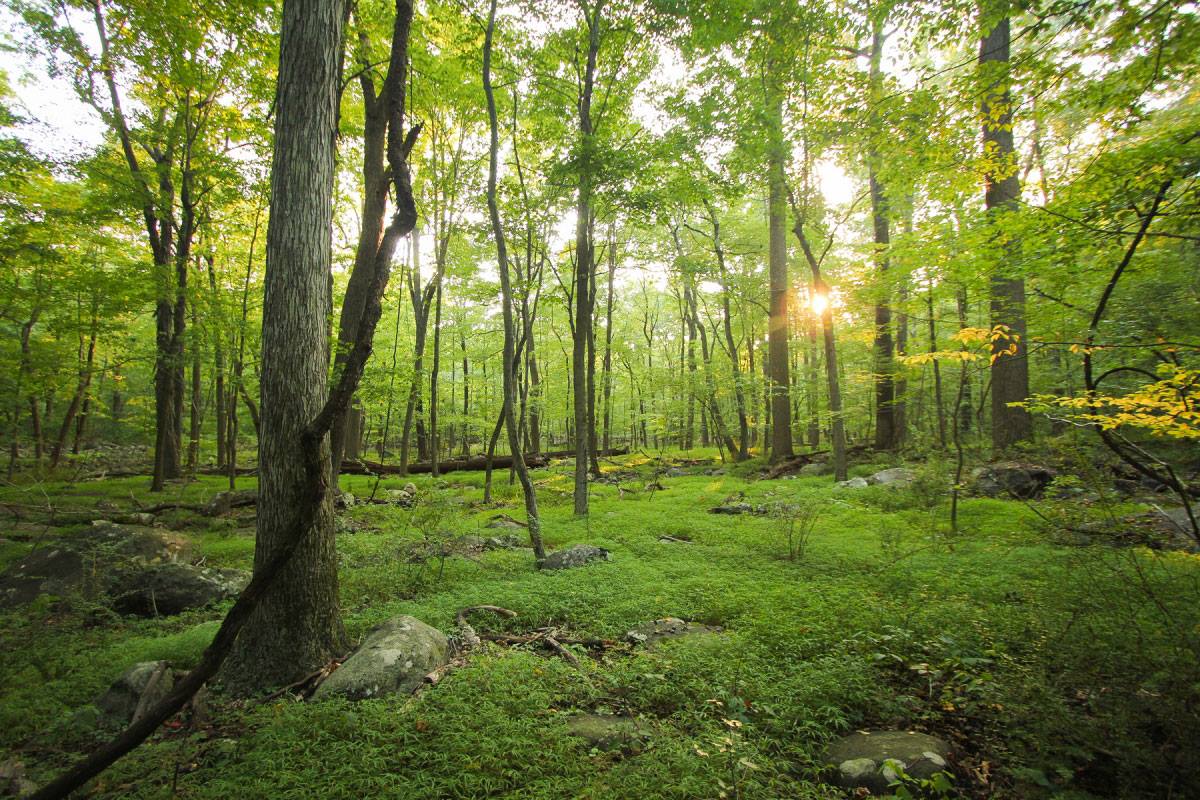 hidden-trails-of-new-jerseys-sourland