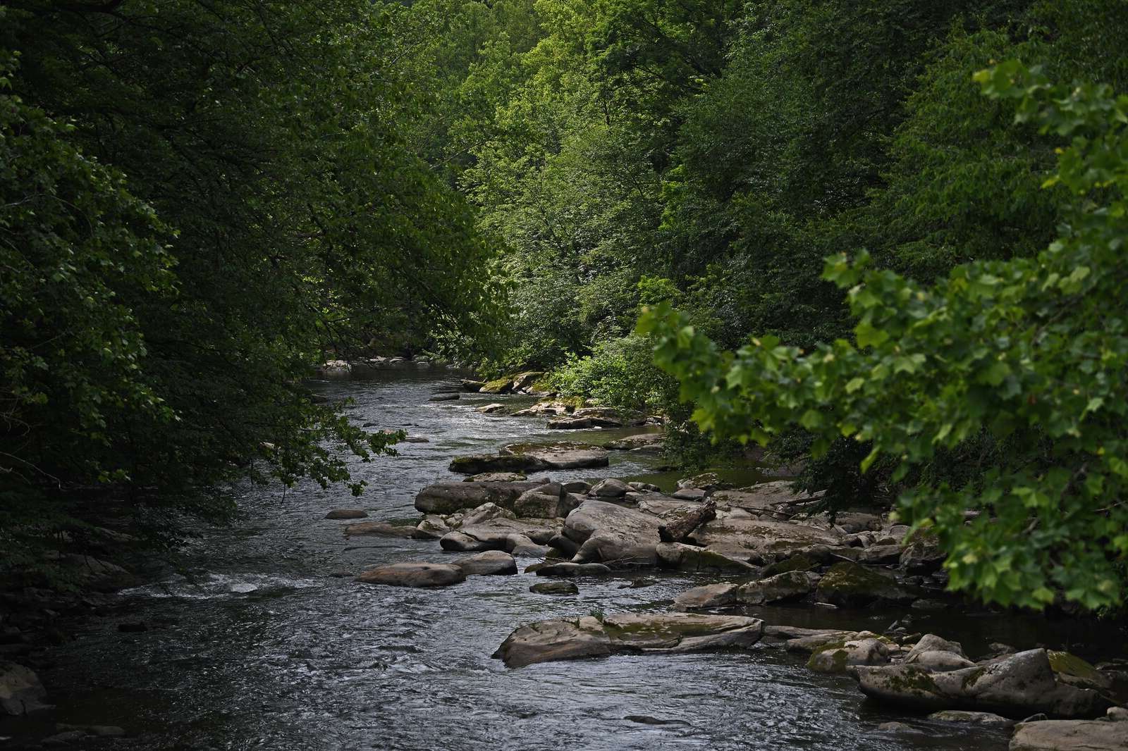 hidden-trails-of-pennsylvanias-mcconnells