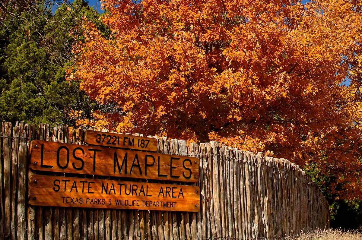 Hidden-Trails-Of-Texas8217s-Lost-Maples hidden-trails-of-texass-lost-maples