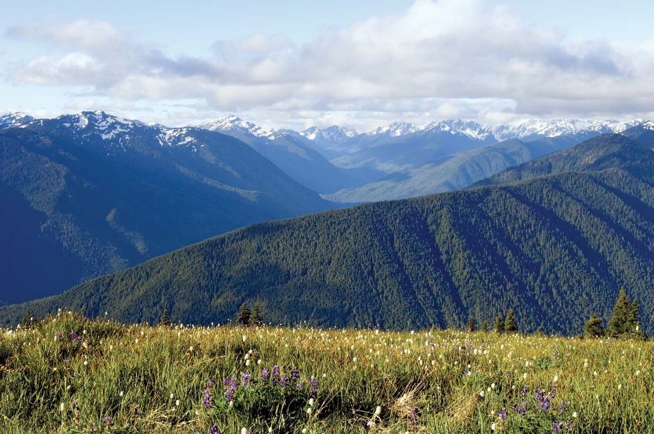 Hidden-Trails-Of-Washington8217s-Olympic-Mountains hidden-trails-of-washingtons-olympic-mountains