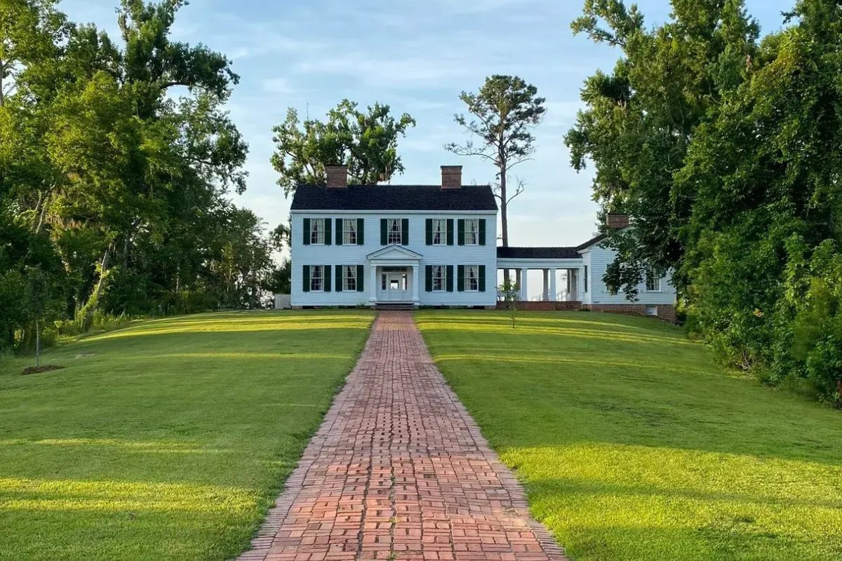 Hidden-Treasures-Of-Florida8217s-Torreya-State hidden-treasures-of-floridas-torreya-state
